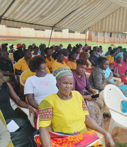 2 Years Down the line...